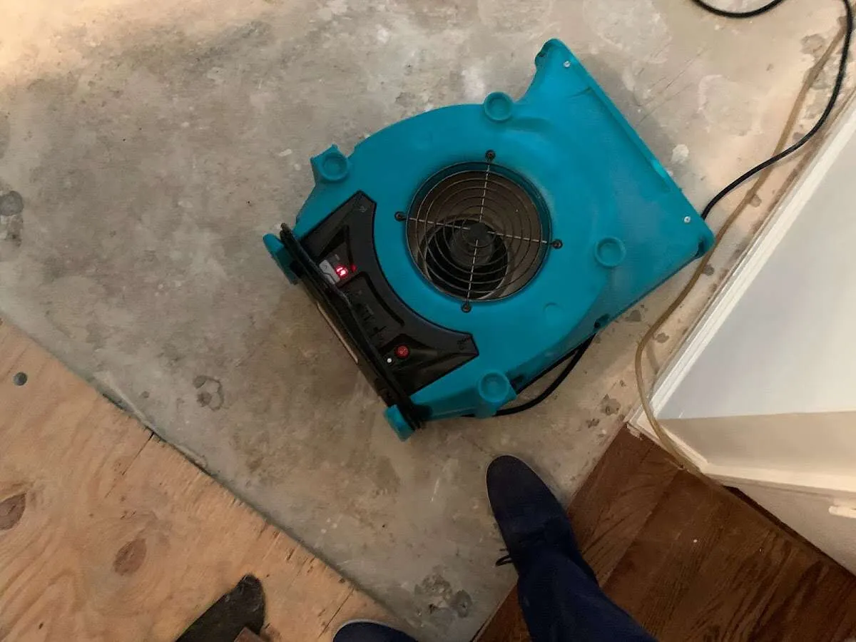 Air mover drying subfloor during Commercial Water Damage Restoration in Paradise